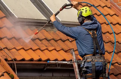 Démoussage et hydrofuge de toiture à Vaux-le-Moncelot